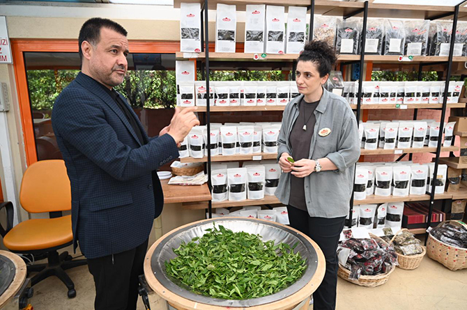 kirkzade-turizm,-arap-gazeteciler,-dogu-karadeniz-006.jpg